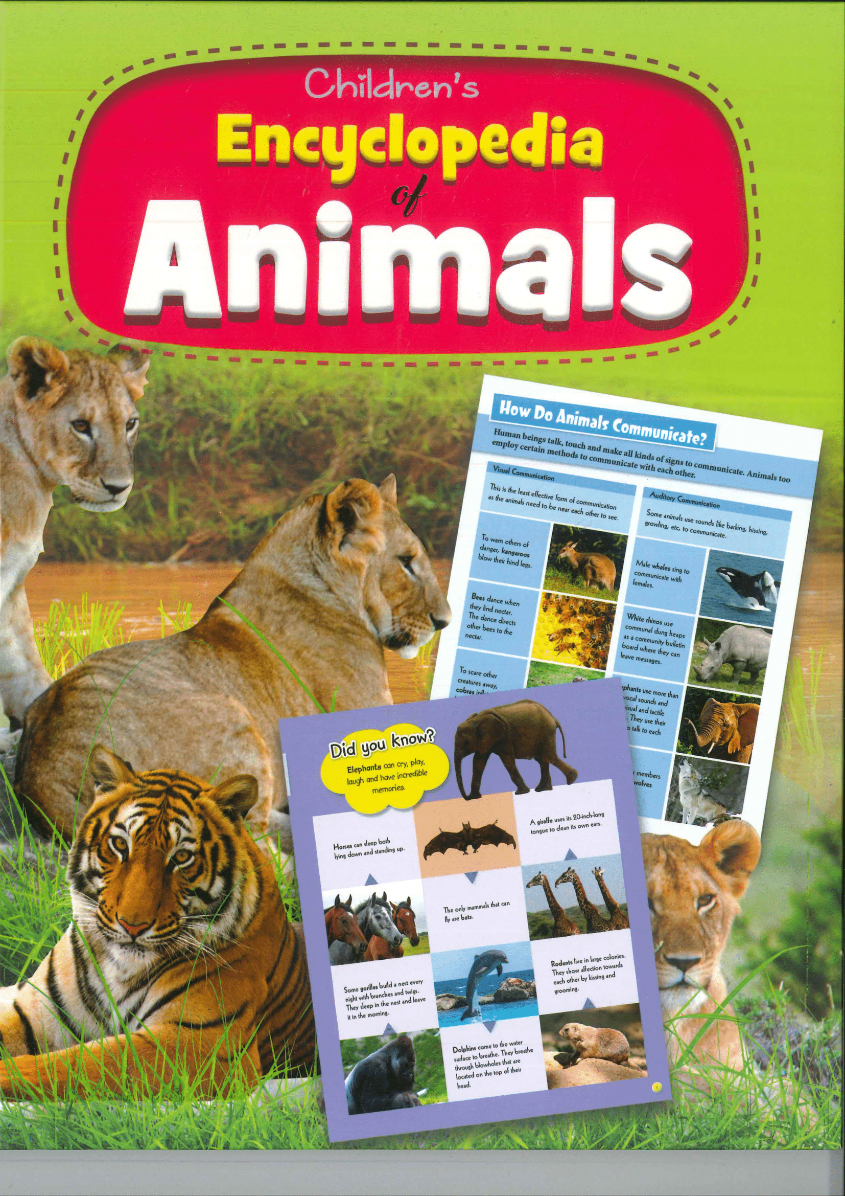 Animals - Eduquay Sdn Bhd