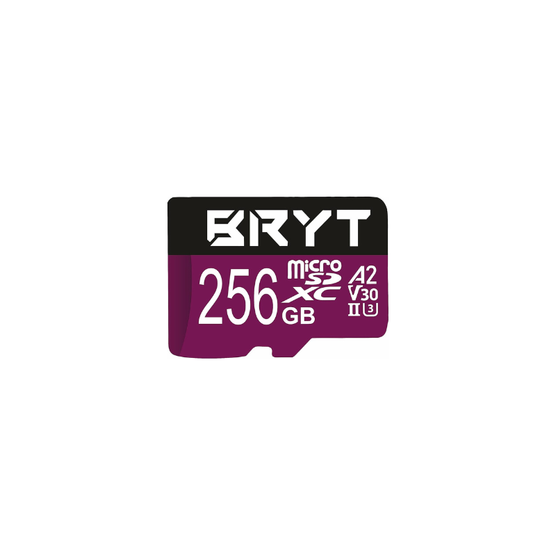 bryt_msdcl10-v30_a2_256gb